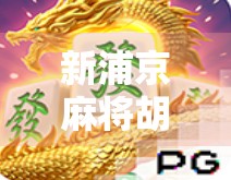 新浦京麻将胡了？别急，先看清这几点！